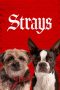 Nonton Film Strays (2023) Nonton Film Strays (2023)