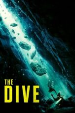 The Dive (2023) The Dive (2023)