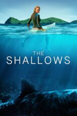 Nonton Film The Shallows (2016) Nonton Film The Shallows (2016)